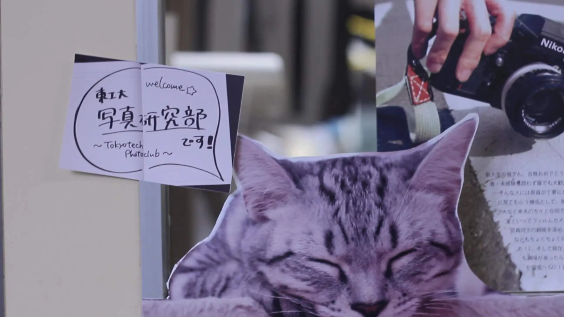 『灰とダイヤモンド』場面カット⑤ 写真部の入り口のドア